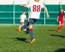 辛芷蕾成为,观点,中国特辑封,博业体育平台,博业体育官方网站,博业体育登录入口,博业体育app下载