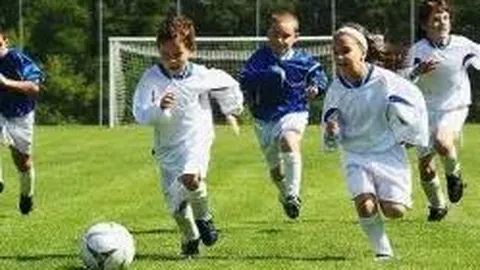 博业体育 产品 112931 sil