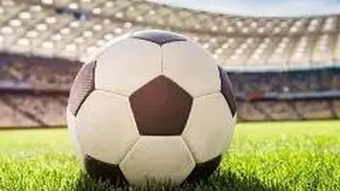 昭和記念公園　秋色豊かな銀のトンネルとイチョウの風情（３）