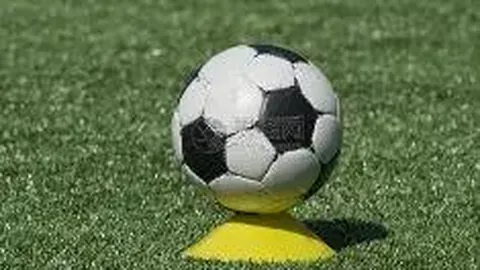 博业体育 资讯 100059 4ot