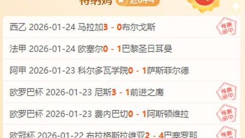 米特尔施塔特巧妙传中，德米洛维奇头球破门助力德甲胜利